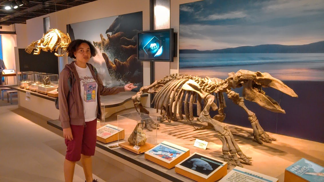 🏞️ 산베 자연관 사히멜(시마네켄리츠 산베 시젠칸 사히메루) 이미지 9